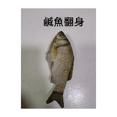 鹹魚翻身