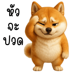 ชิบะ ตัวตึง!