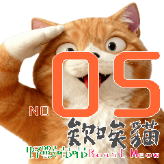 Ai Ai Mao 05VIP Practical Daily Life