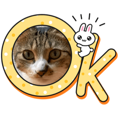 happy_20251105123504