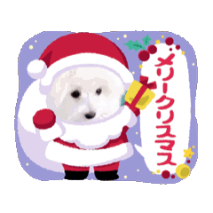 動くマルポメ おはなの一日1