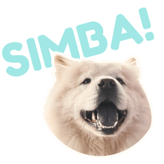 SimSim Stickers Premium!