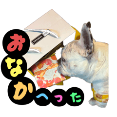 saori_20251105151718