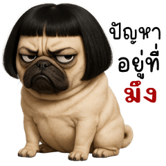 Puppy, cheeky Dog (THAI)