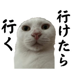 Daichi_20251105164001