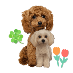 knk15850_20251105170557