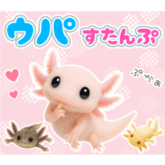 ウパっと！擬音コレクション