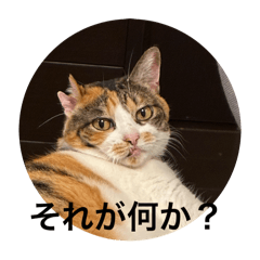 numasan_20251105155451