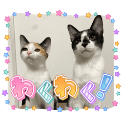 Candy_20251105192915