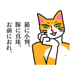 mimichi_20251105205319