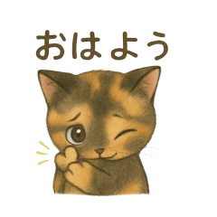 サビネコのサビ丸