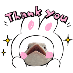 siii_202511051957112