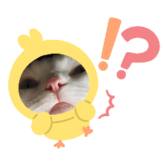 hiromi_20251105195929