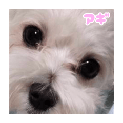 nonchan_20251105214816