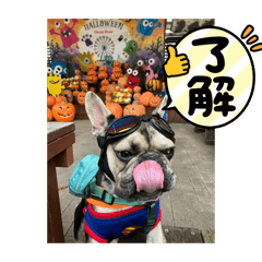 kaori_20251105201137