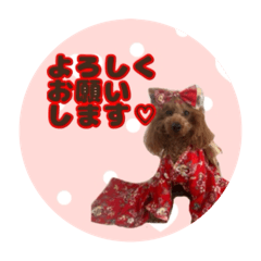 y-mami_20251105235558