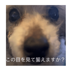 kaito_20251106005459