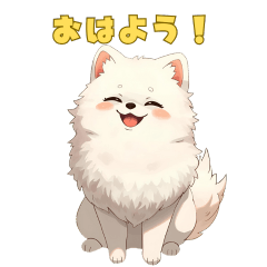 My fluffy white Pomeranian, Daikichi
