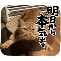 rei_20251105212732