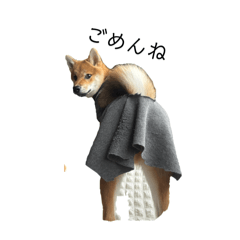 HARUNA_20251106083715