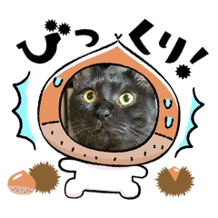 もずくとろろ0619