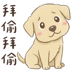 小拉拉 實用日常