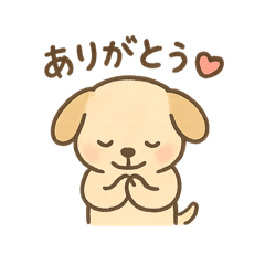 asapi_20251105183106