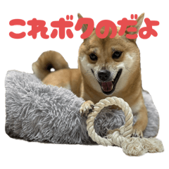 tomomi_20251105204136