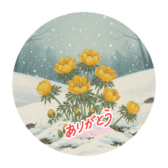 sugar_20251106064251