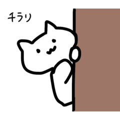 ねこちゃん覗く