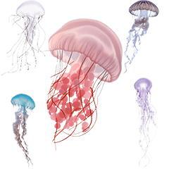 BIG! Jellyfish realistic