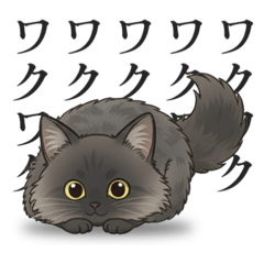 Kemuri the Rescue Cat