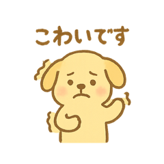 asapi_20251106090942