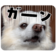 mizuki_20251105212153