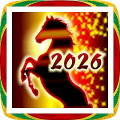 大人の年賀バラエティパック2026「BIG」