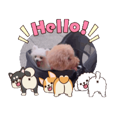 妮蘋恩米咚咚咚