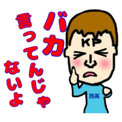 birdrun_20251105233846