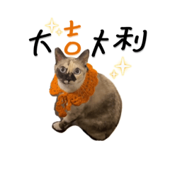 大腿摩擦俱樂部