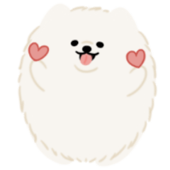 可愛狐狸犬毛毛