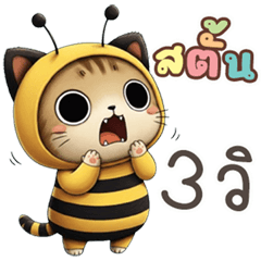 เหมียวBee หัวกลม