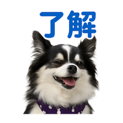 maorin_20251106114003