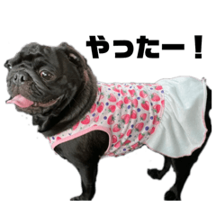 karin_20251106141429