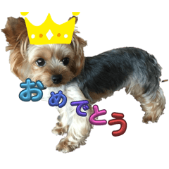 Isochan_20251106132942