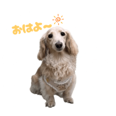 akane_20251106153326