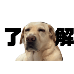 Hannah_20251106151915