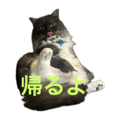 omochi_20251106151245