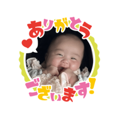 koara_20251106155123