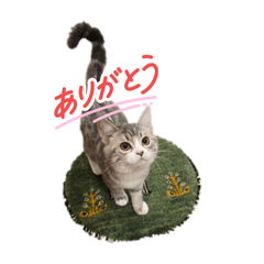 omochi_20251106205739