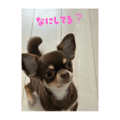 Arisa_20251106171535