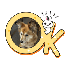 azuki.m_20251106182521